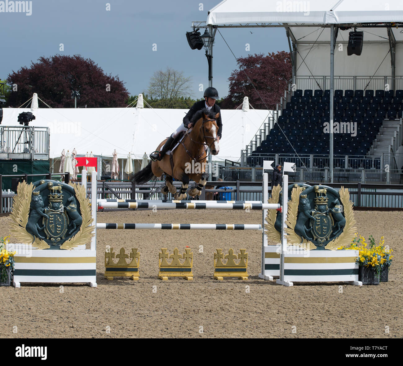 Royal Windsor Show. Foto de stock