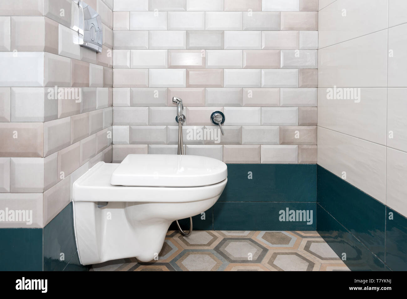 Blanco inodoro con bidé, ducha en el cuarto de baño Fotografía de stock -  Alamy