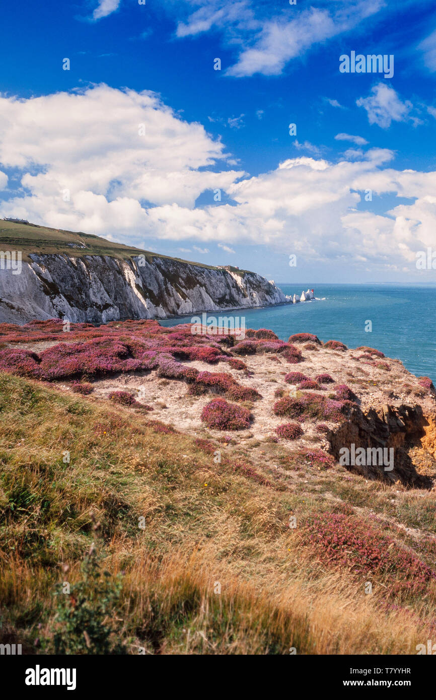 Las Agujas, una fila de tres distintos paquetes de tiza que se elevan aproximadamente 30m desde el fondo del mar al lado oeste de la Isla de Wight, REINO UNIDO Foto de stock