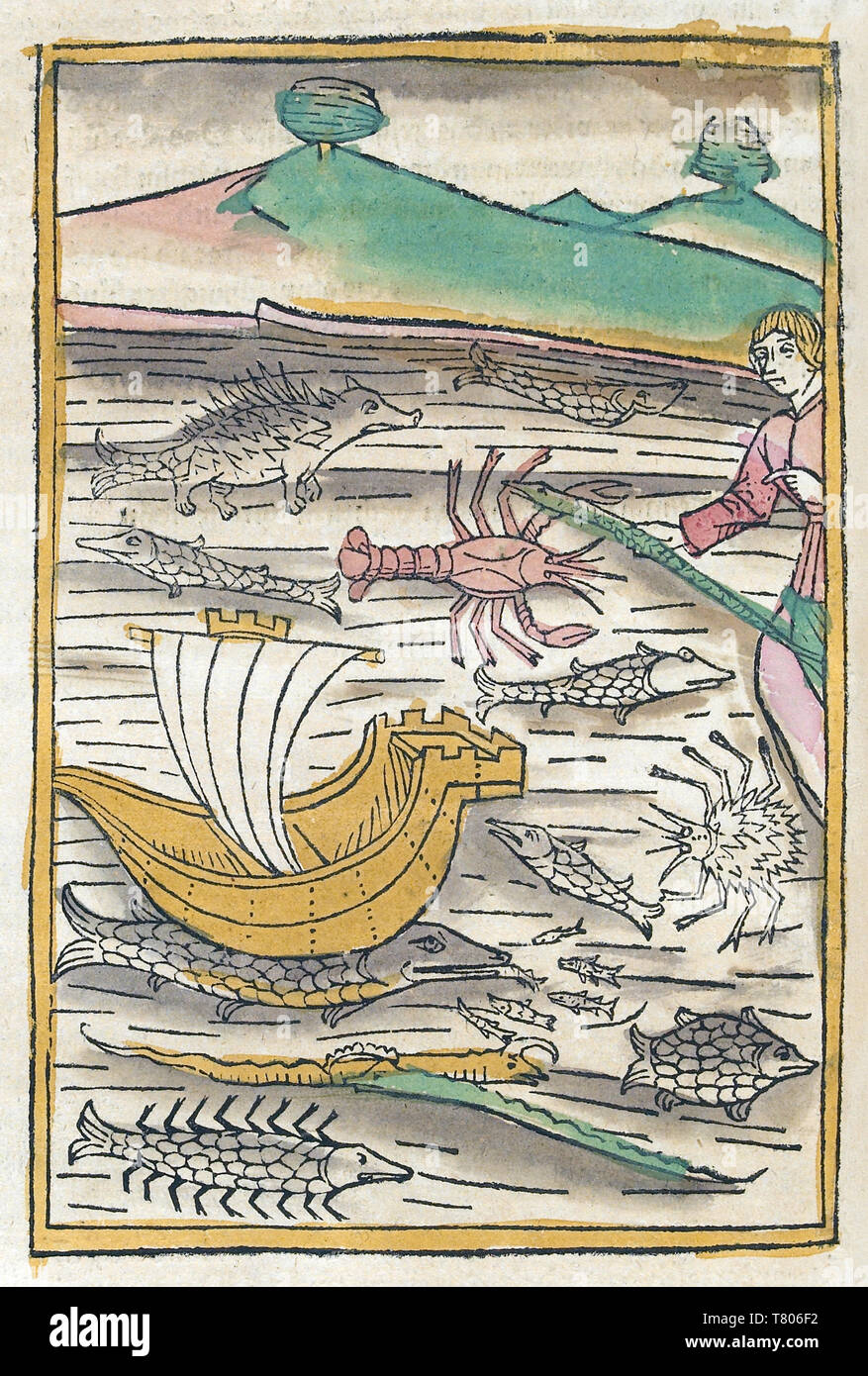 Conrad de Megenberg, Buch der Natur, del siglo XV. Foto de stock