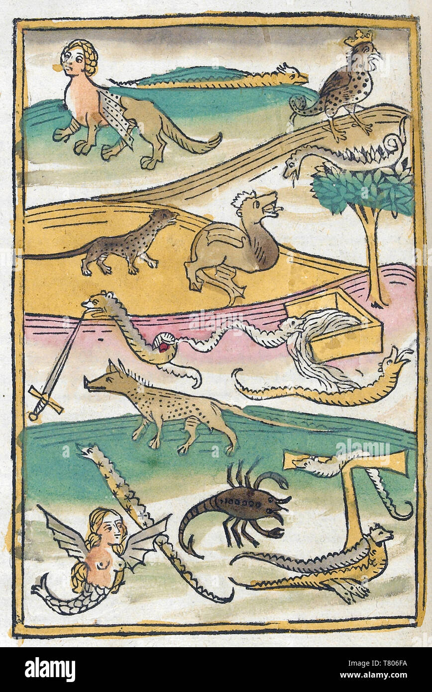 Conrad de Megenberg, criaturas mitológicas, del siglo XV. Foto de stock