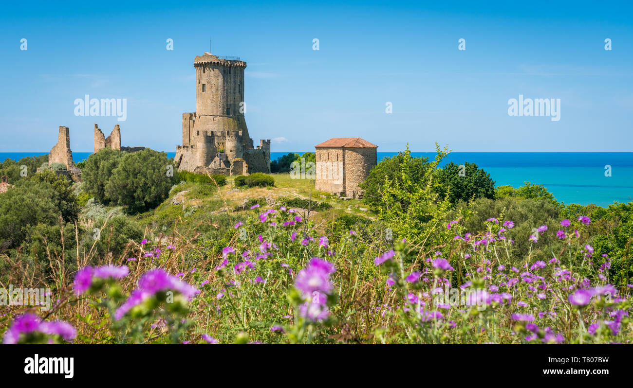 Las ruinas de la antigua ciudad de Velia con el mar al fondo, cerca de Ascea, Cilento, Campania, sur de Italia. Foto de stock