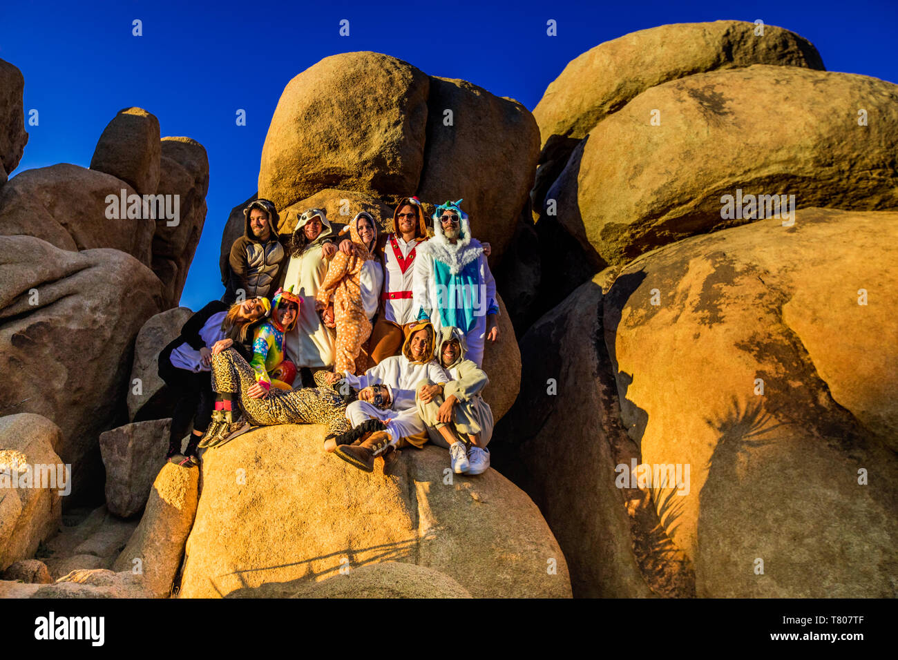 Grupo de amigos en el espíritu animal onesies celebra el año nuevo en Joshua Tree, California, Estados Unidos de América, América del Norte Foto de stock