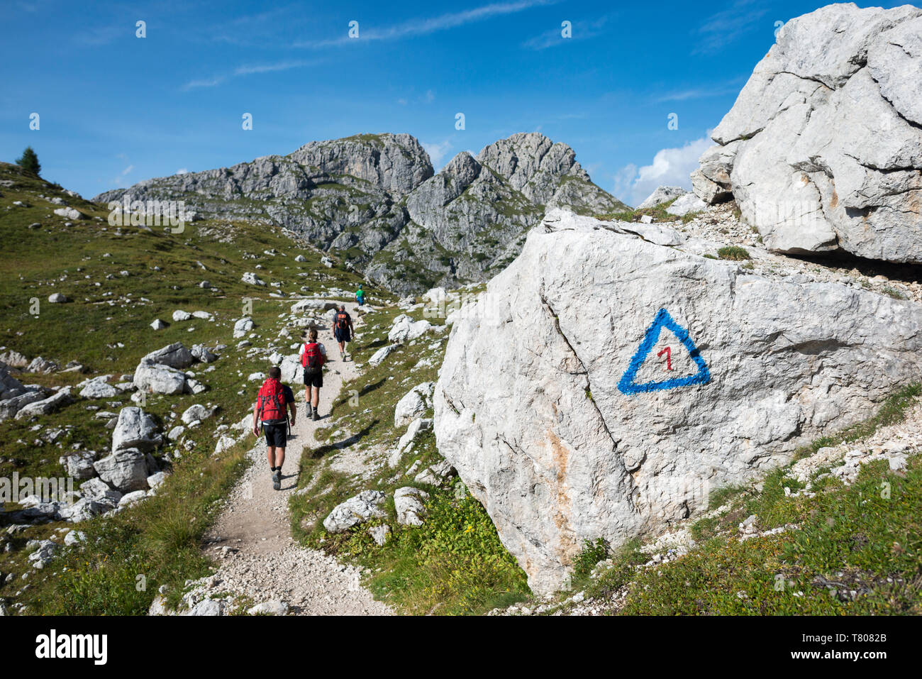 Senderistas senderismo en los Dolomitas gama de los Alpes a lo largo de la Alta Via 1 ruta de senderismo, Belluno, Véneto, Italia, Europa Foto de stock