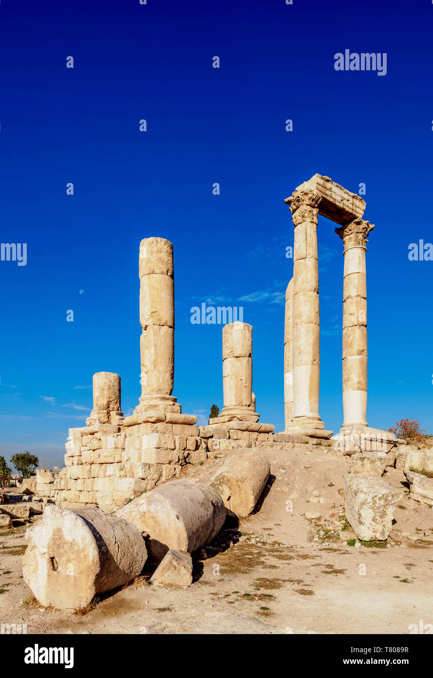 Templo de Hércules ruinas, Ciudadela de Amman, Ammán, Jordania, Gobernación de Oriente Medio Foto de stock