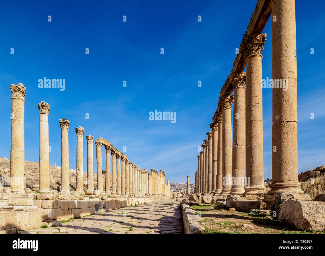 Calle columnada (Cardo), Jerash, Gobernación de Jerash, Jordania, Oriente Medio Foto de stock