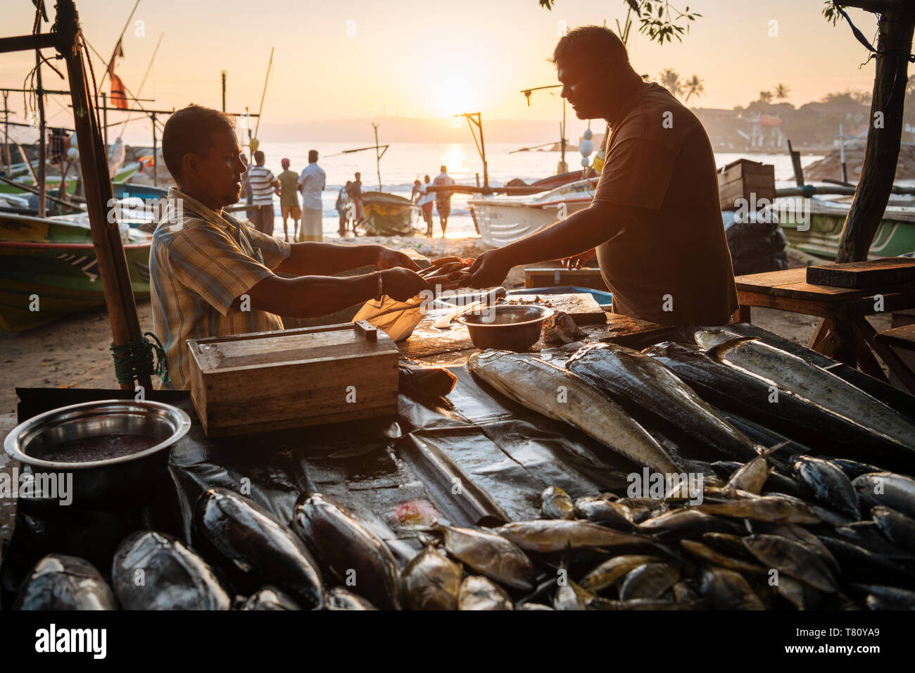 Mercado de Pescado al amanecer, Galle, Sri Lanka, Costa Sur, Asia Foto de stock