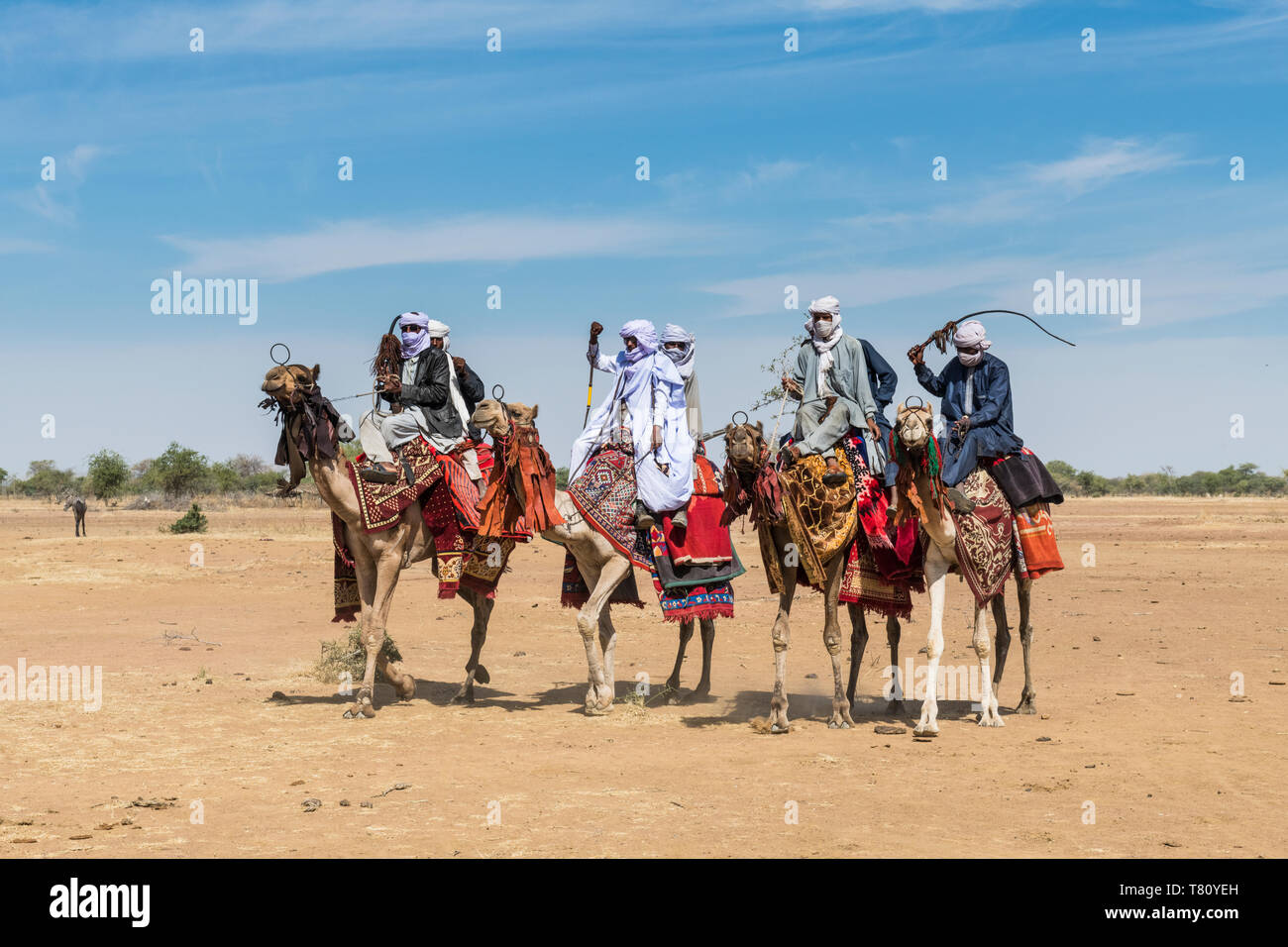 Los jinetes de camellos en un colorido festival tribal, Sahel, Chad, África Foto de stock