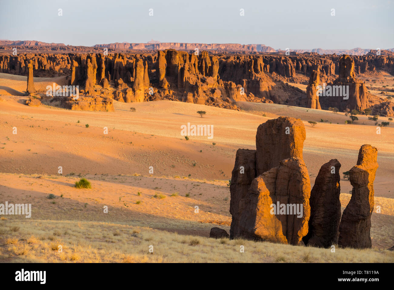 Vistas al precioso paisaje de la Meseta de Ennedi, Sitio del Patrimonio Mundial de la UNESCO, la región de Ennedi, Chad, África Foto de stock