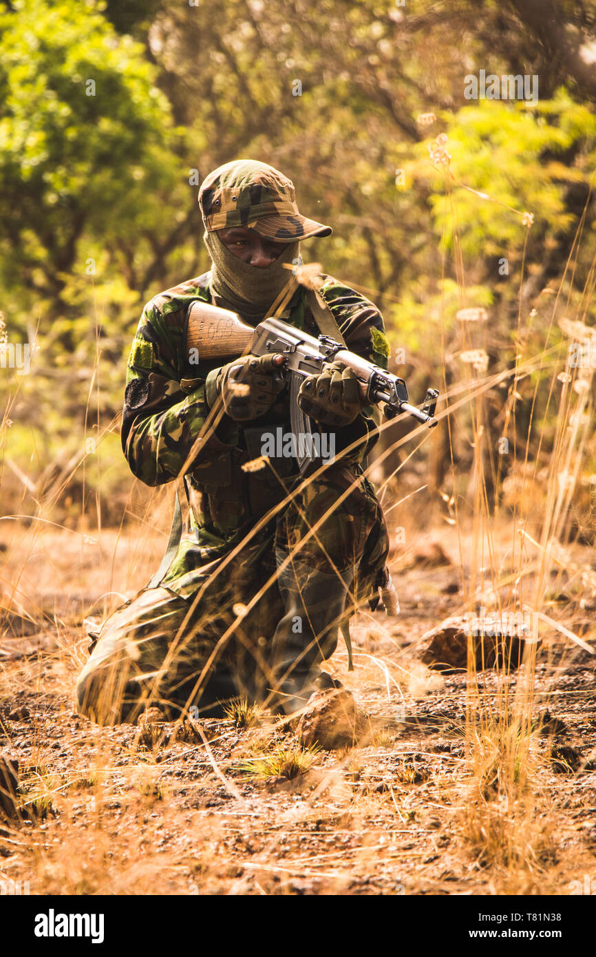 Los Rangers de Africa, en acción, en patrulla, en la pradera Foto de stock