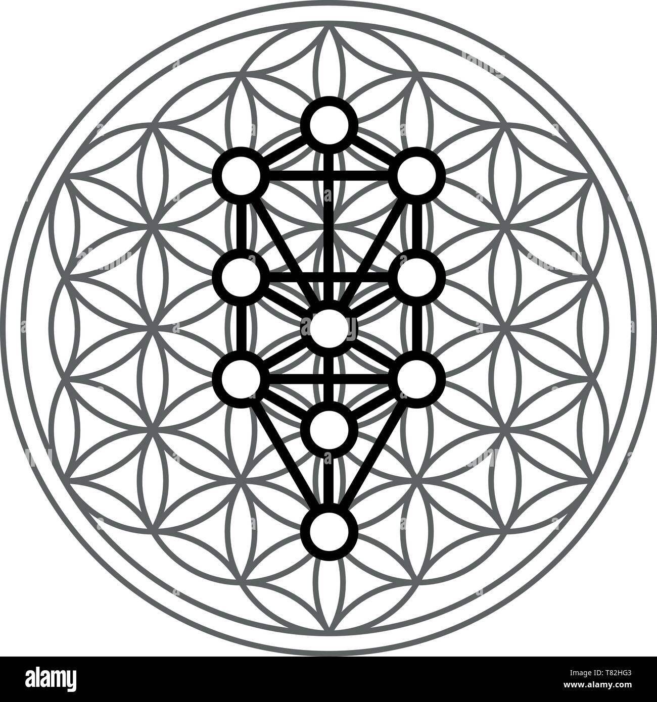 Árbol de vida árbol vida del árbol del mundo sephiroth sephira judaísmo judío Imagen Vector de