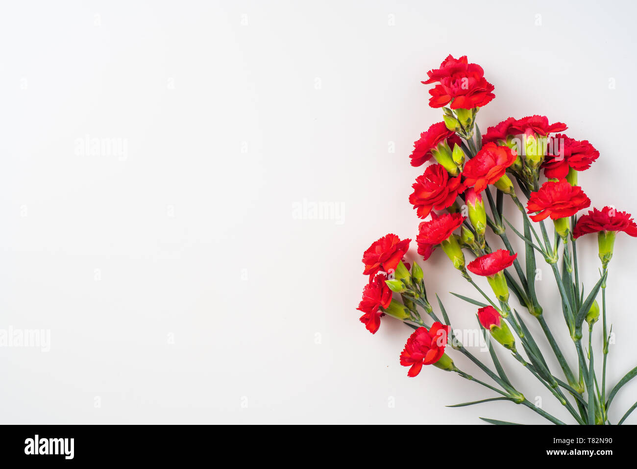 Concepto de diseño de eventos - Vista superior de un montón de clavel rojo  sobre fondo blanco aisladas para madres , el Día del Padre y Día de San  Valentín, evento de