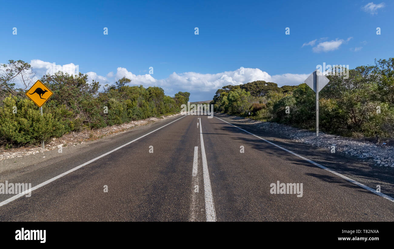 Signo indica el peligro de cruzar canguros en una carretera en la Isla Canguro, Australia Meridional Foto de stock