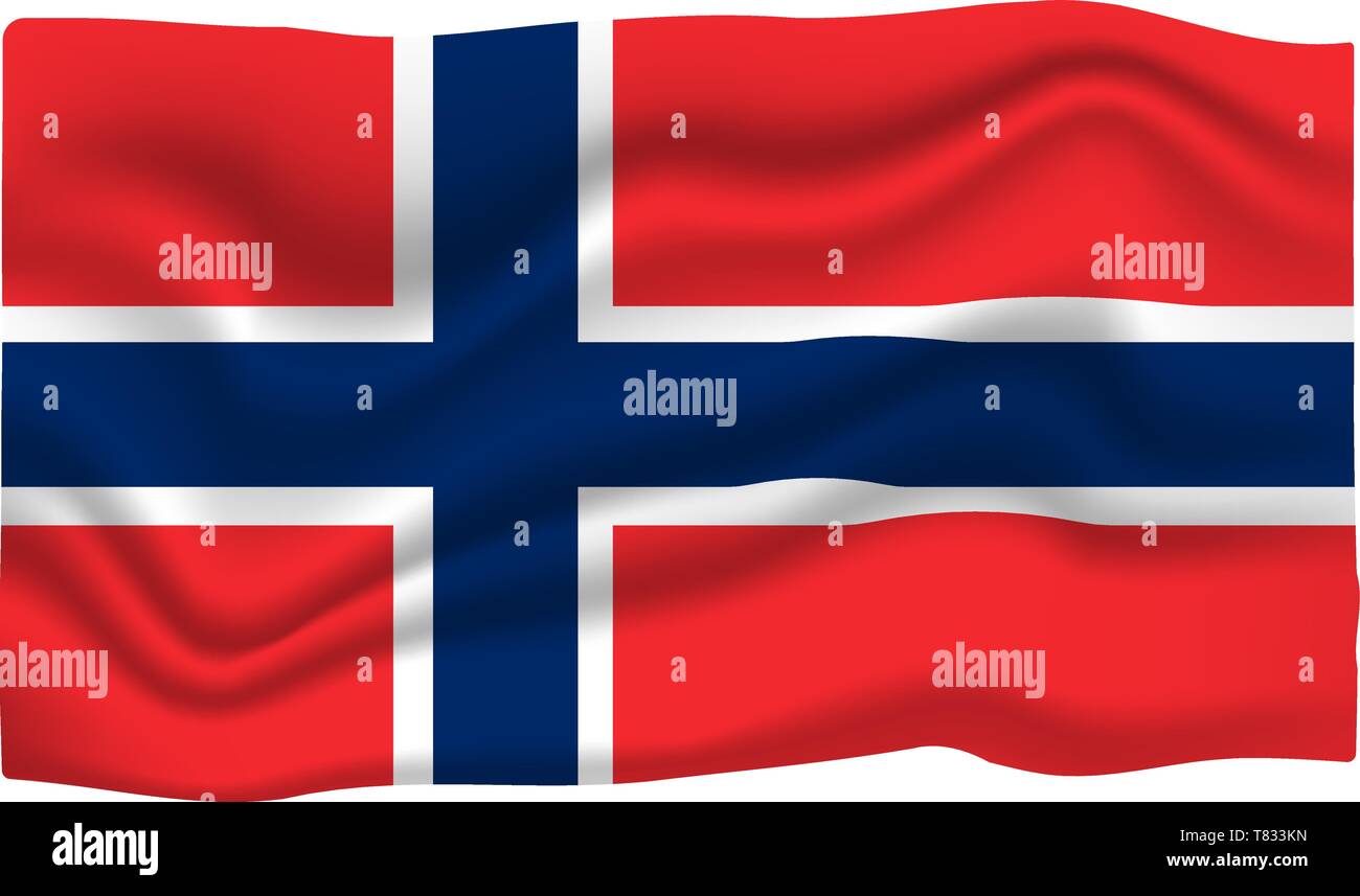 Icono de bandera noruega. Bandera La bandera nacional. Ilustración  vectorial de dibujos animados Imagen Vector de stock - Alamy