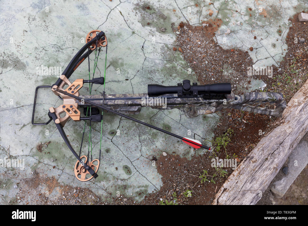 Ballesta de caza con una flecha y mirilla óptica sobre hormigón Fotografía  de stock - Alamy