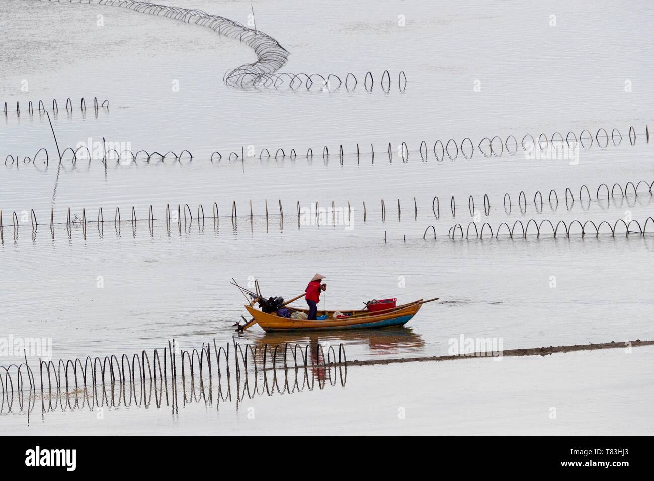 China, Provincia de Fujiang, Condado de Xiapu, redes en mar abierto, la captura de peces Foto de stock