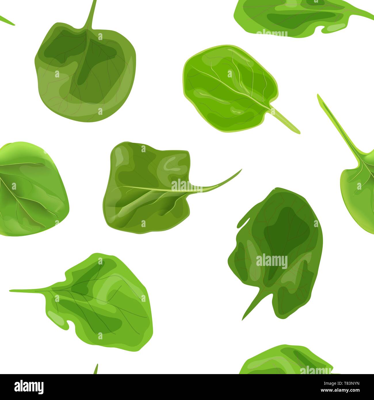 Las hojas frescas de espinaca cruda y jugosa perfecta patrón vectorial aislados. Dieta saludable, comida vegetariana, verduras primavera verano Ilustración del Vector