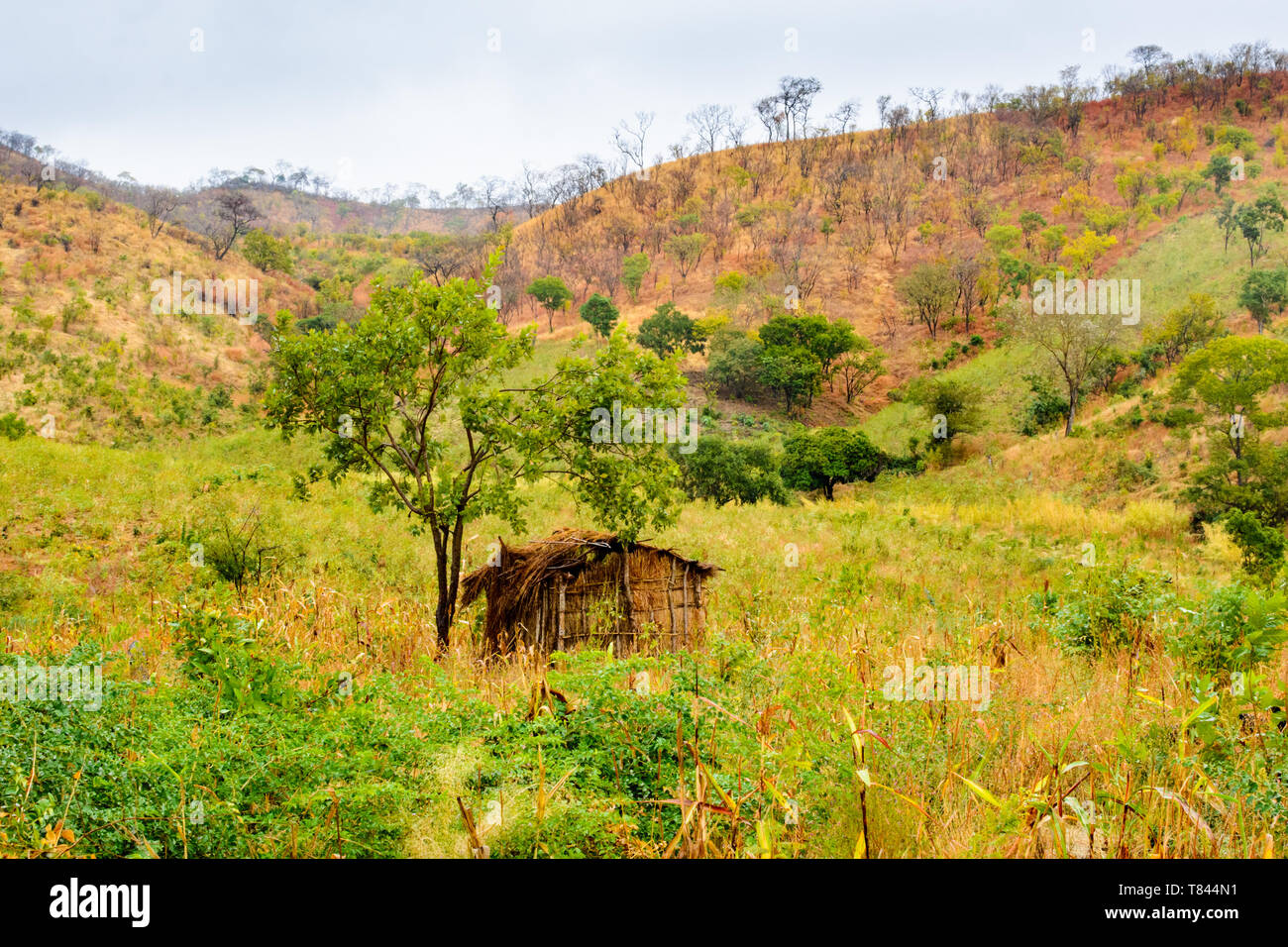 Casa de pasto solitario parado en un valle de una zona montañosa que hasta hace poco era muy boscosa en la frontera entre Malawi y Nsanje Mozambiq Foto de stock