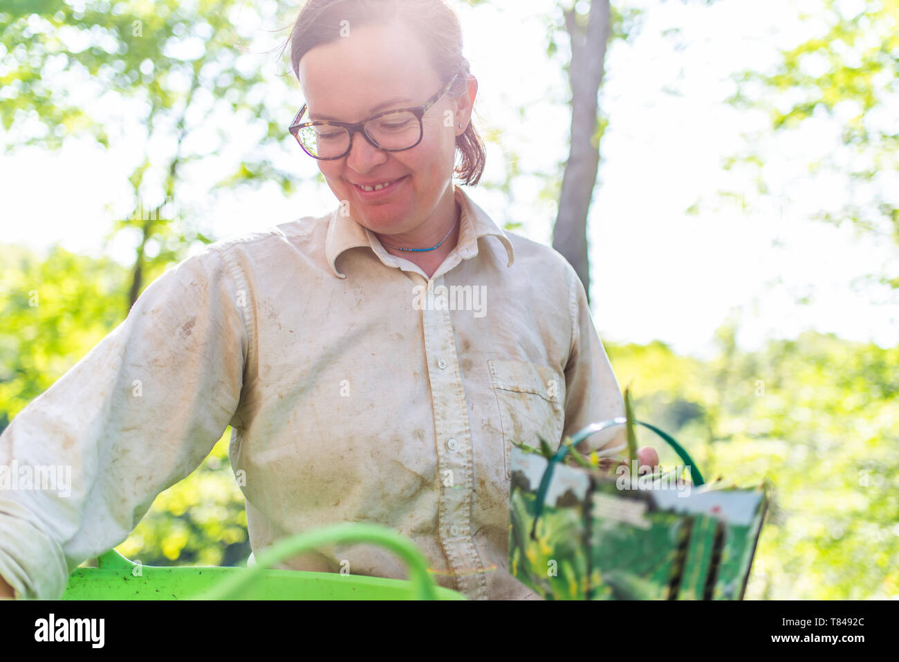 Hembra madura jardinero trabajando en el soleado jardín Foto de stock