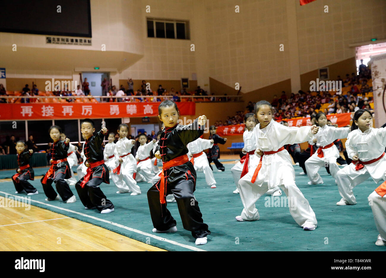 18+ Artes Marciales De China