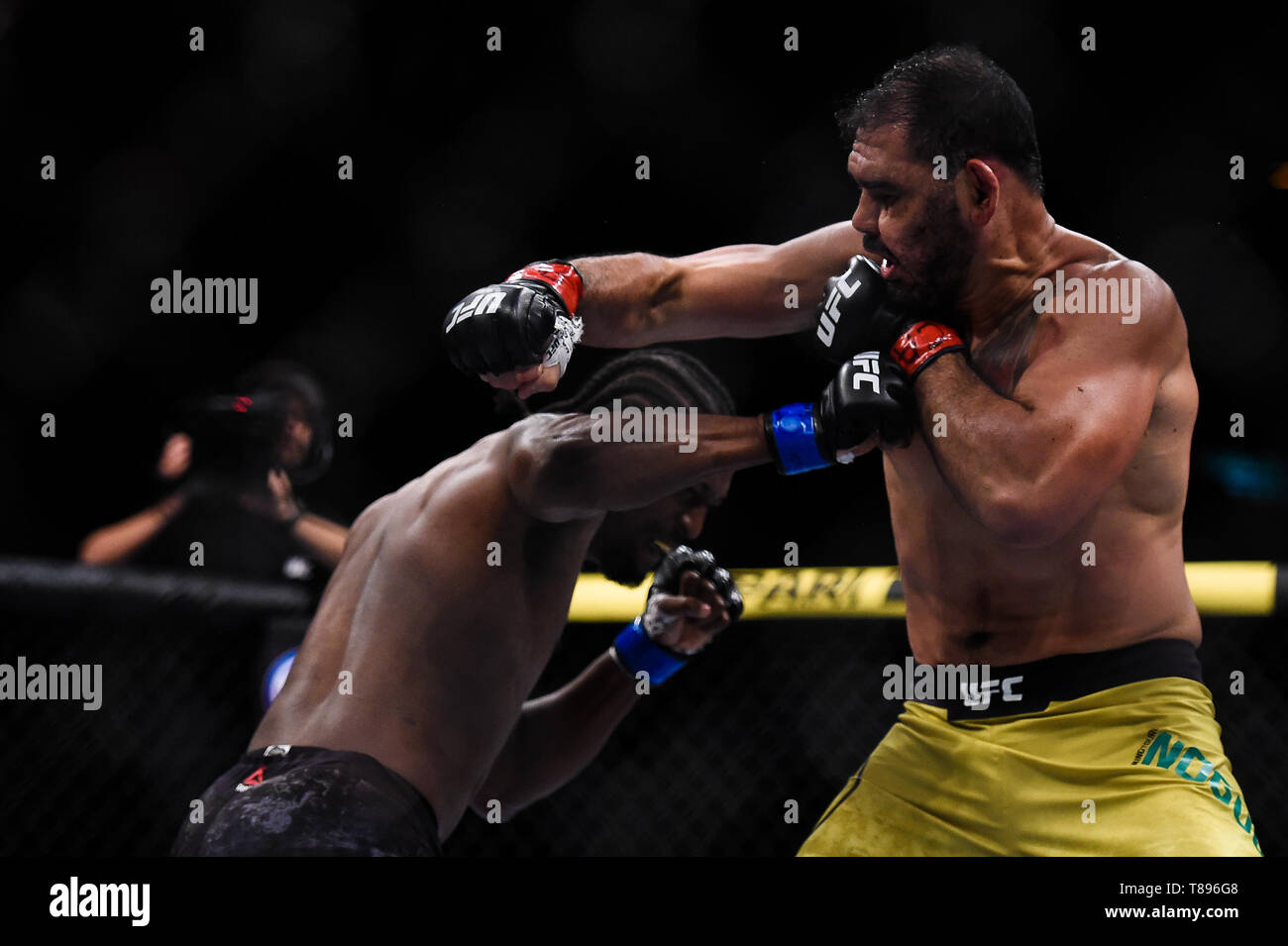UFC 237 NAMAJUNAS vs. ANDRADE Cazas Rogerio Minotouro (rojo guante