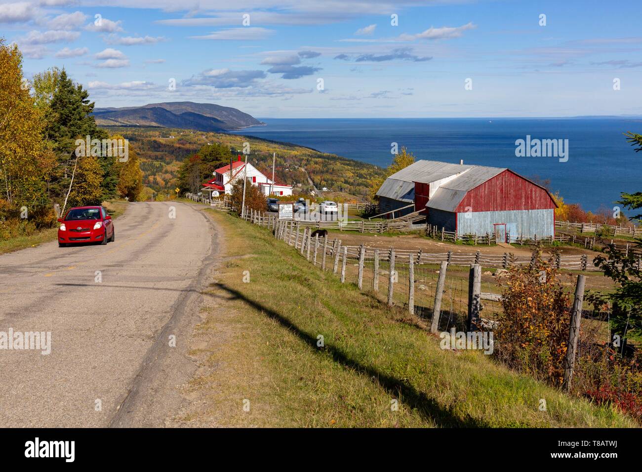 Canadá, provincia de Quebec, Charlevoix, Port-au-Persil, Scenic Route 138, Port-au-Persil Road, St. Lawrence burro granja Foto de stock