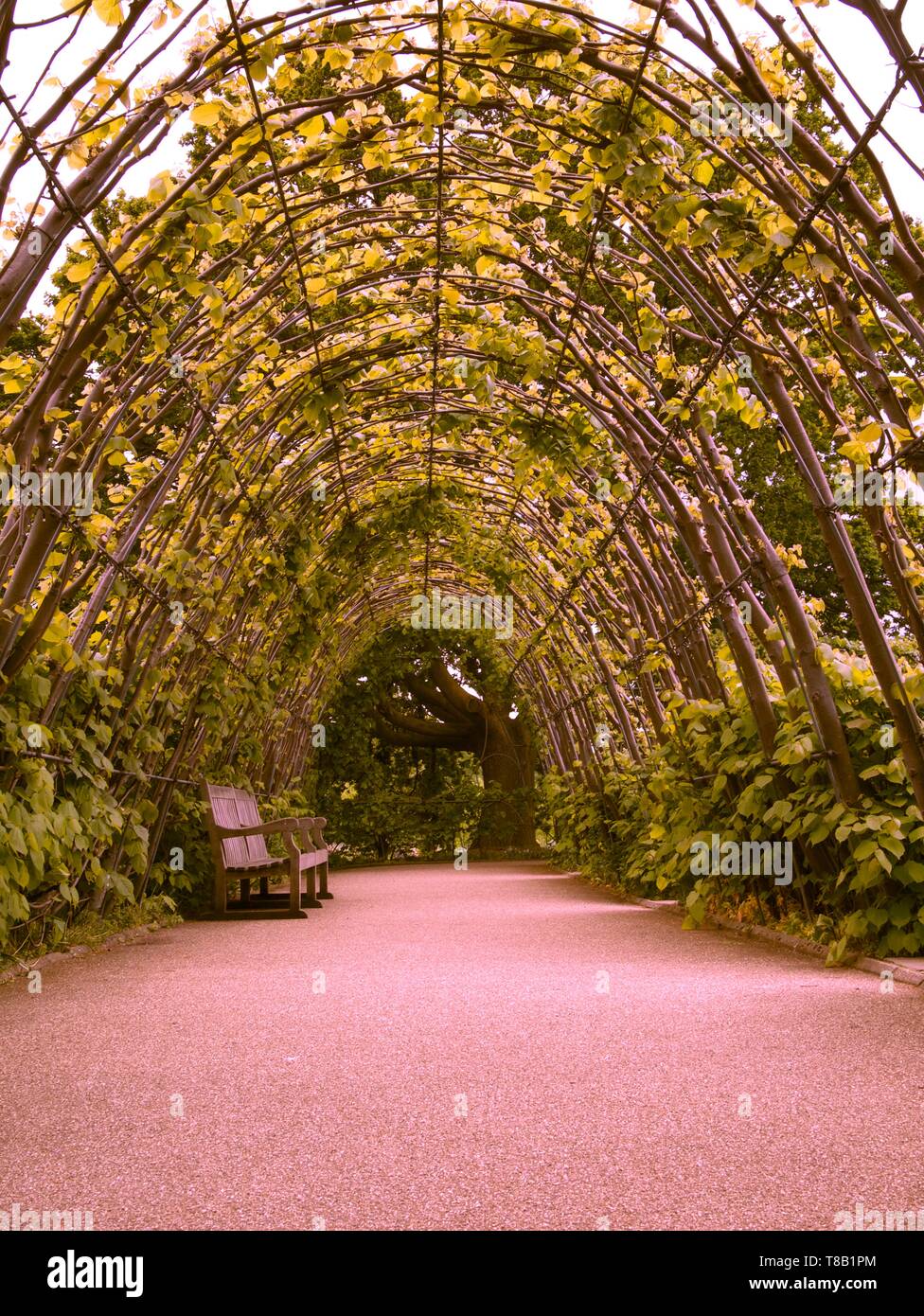 La cuna caminando al jardín hundido en los jardines del Palacio de Kensington, Hyde Park, Londres, Reino Unido. Foto de stock