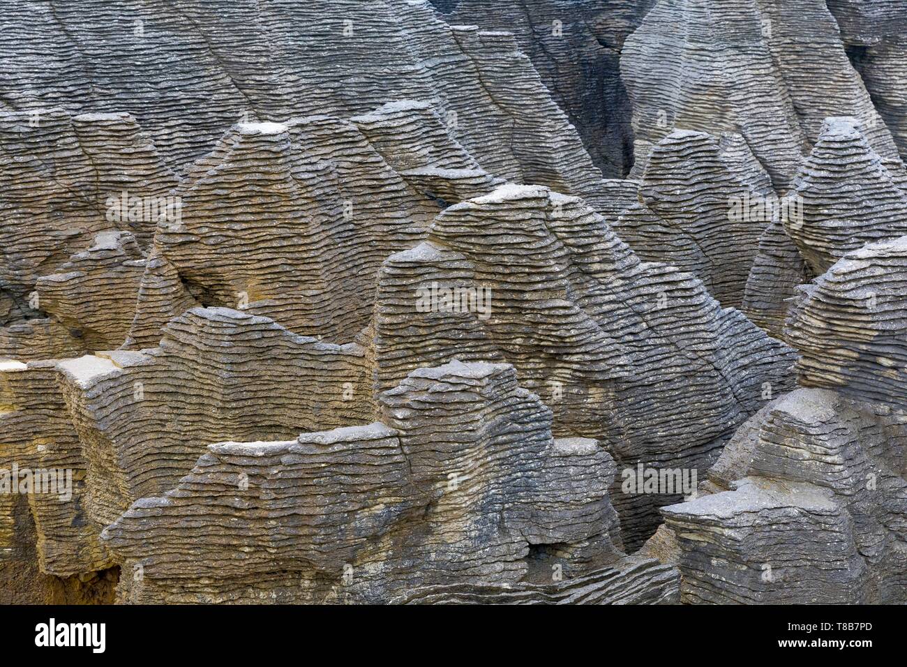 Nueva Zelanda, Isla del Sur, la región de la costa oeste, en Punakaiki, Pancake Rocks Foto de stock
