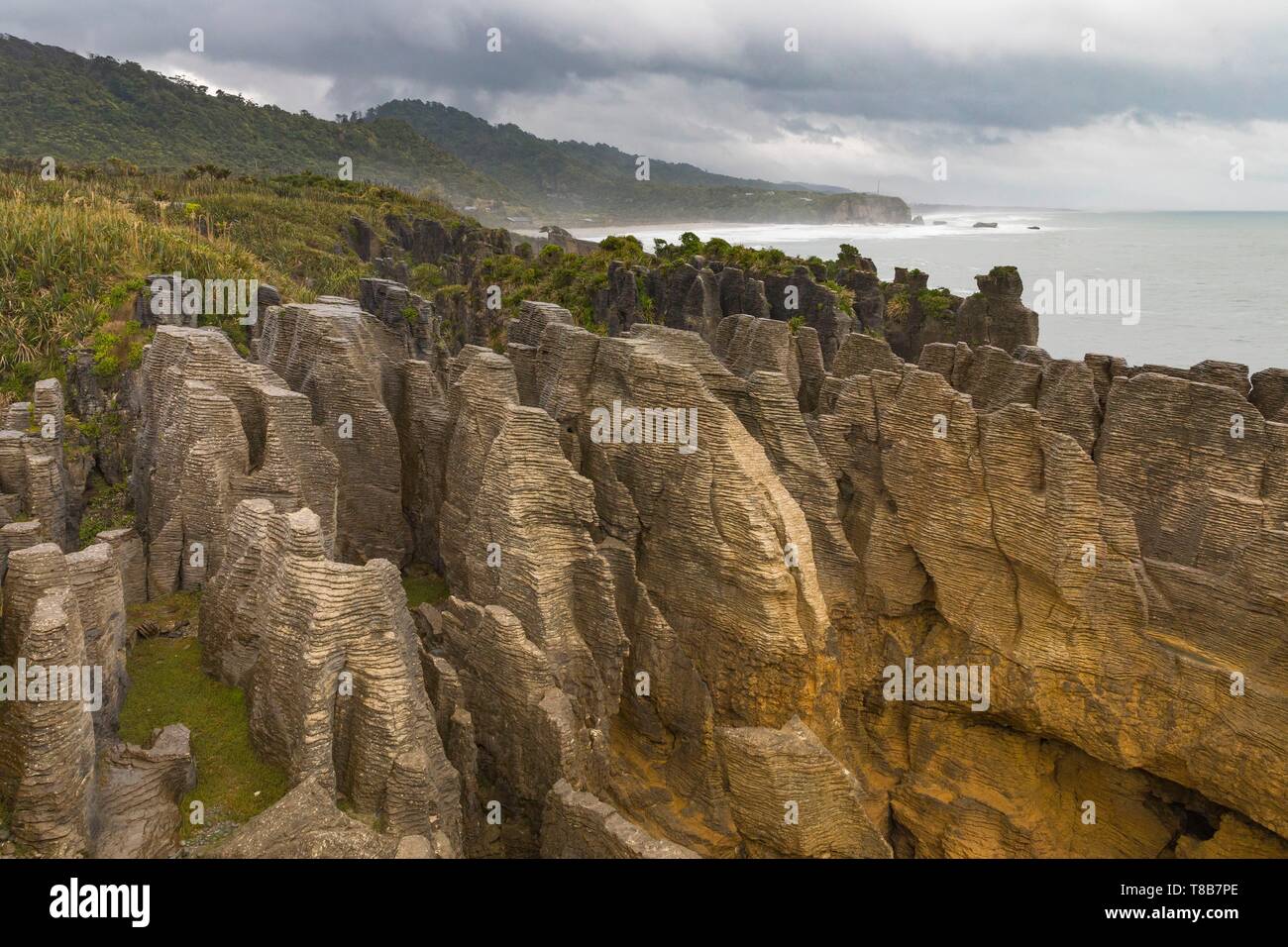 Nueva Zelanda, Isla del Sur, la región de la costa oeste, en Punakaiki, Pancake Rocks Foto de stock