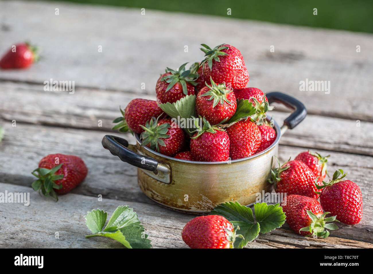 Bowl con fresas frescas maduras en la mesa de la cocina Stock Photo