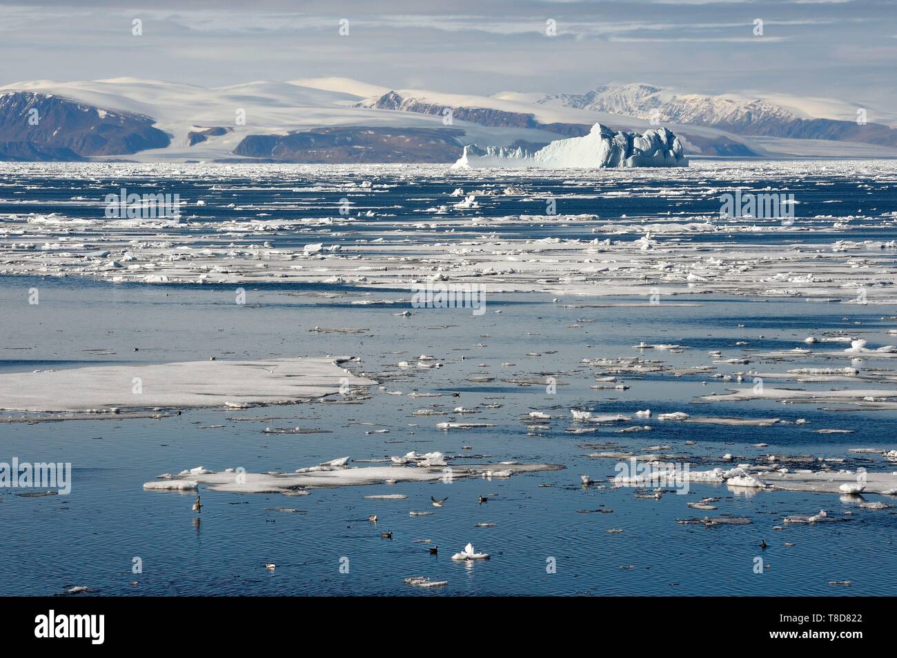 Groenlandia, la costa Noroeste, Smith Sound al norte de la Bahía de Baffin, trozos de hielo del mar Ártico y el gigantesco iceberg en el fondo hacia la costa de la isla de Ellesmere canadiense Foto de stock