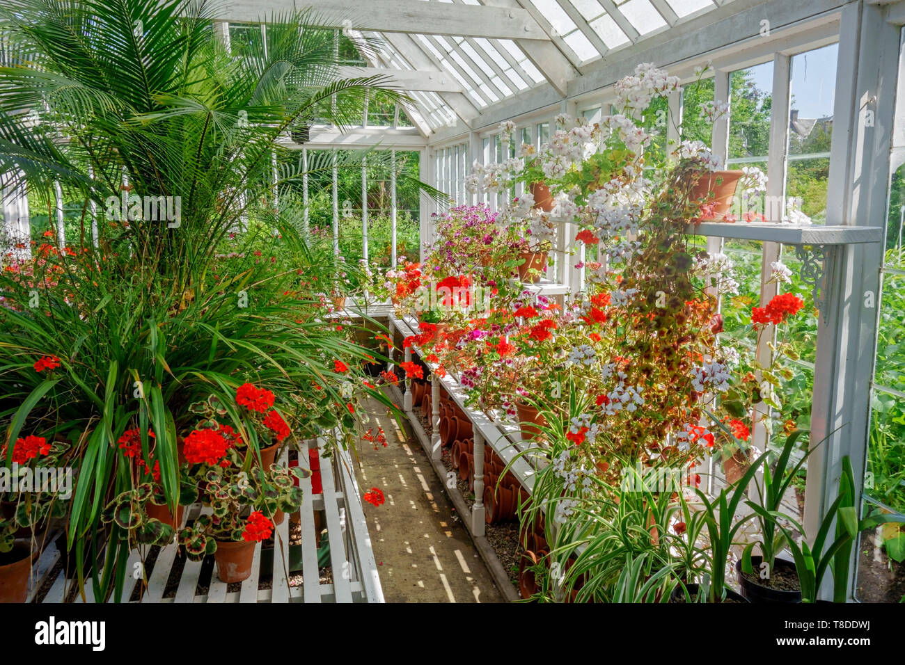 Invernadero de madera con policarbonato en el jardín. Techo triangular  Fotografía de stock - Alamy