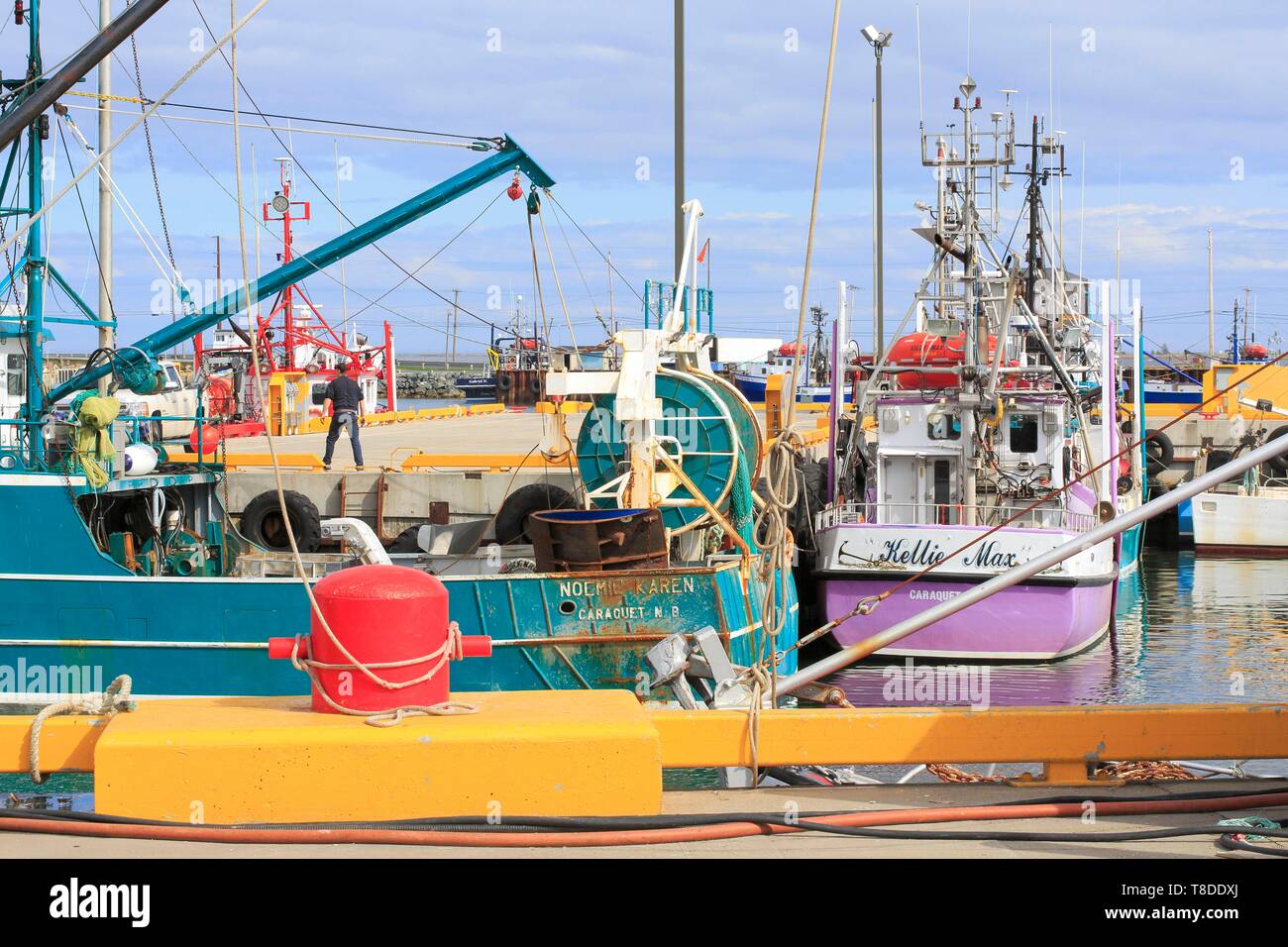 Canadá, Nueva Brunswick, Acadie, Gloucester County, Shippagan, Puerto pesquero Foto de stock