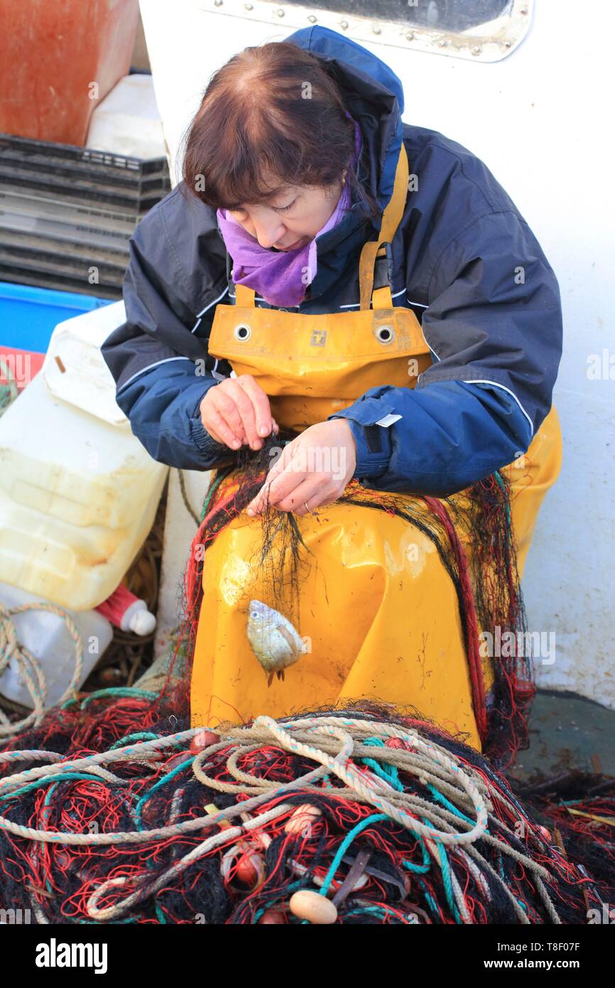 Francia, Bouches du Rhône, Marseille Vieux Port, viaje de pesca Foto de stock