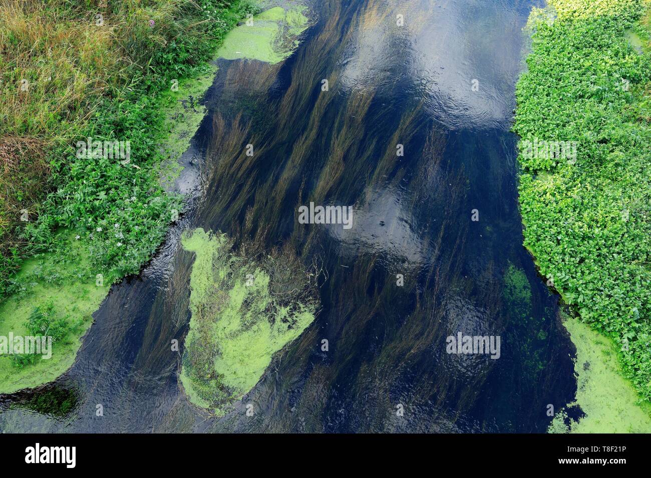 Francia, Ardèche, charmes sur Rhone, presa de Charmes, canal de vuelo Foto de stock