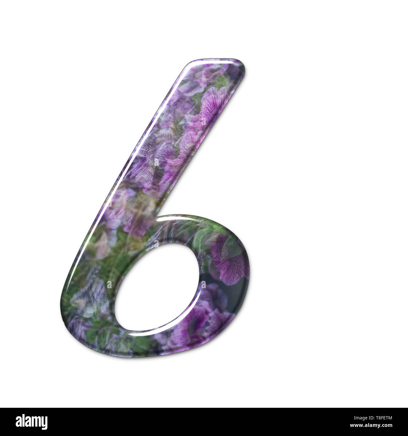 El número seis forma parte de un conjunto de letras, números y símbolos del alfabeto en 3D realizado con una imagen floral sobre fondo blanco. Foto de stock
