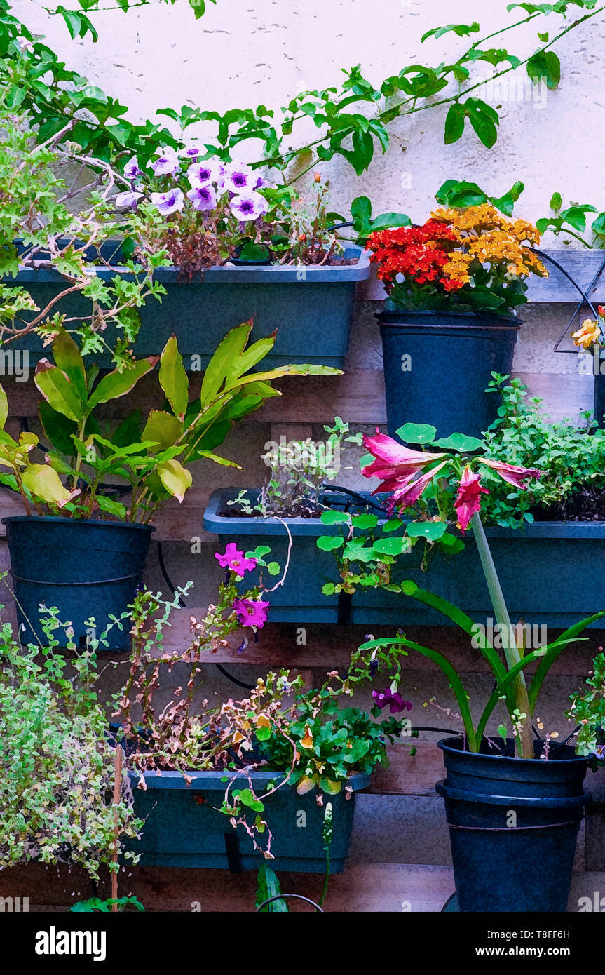 Imagen mejorada digitalmente de un colorido jardín vertical en pared. las macetas con plantas en una matriz vertical en una pared. Foto de stock