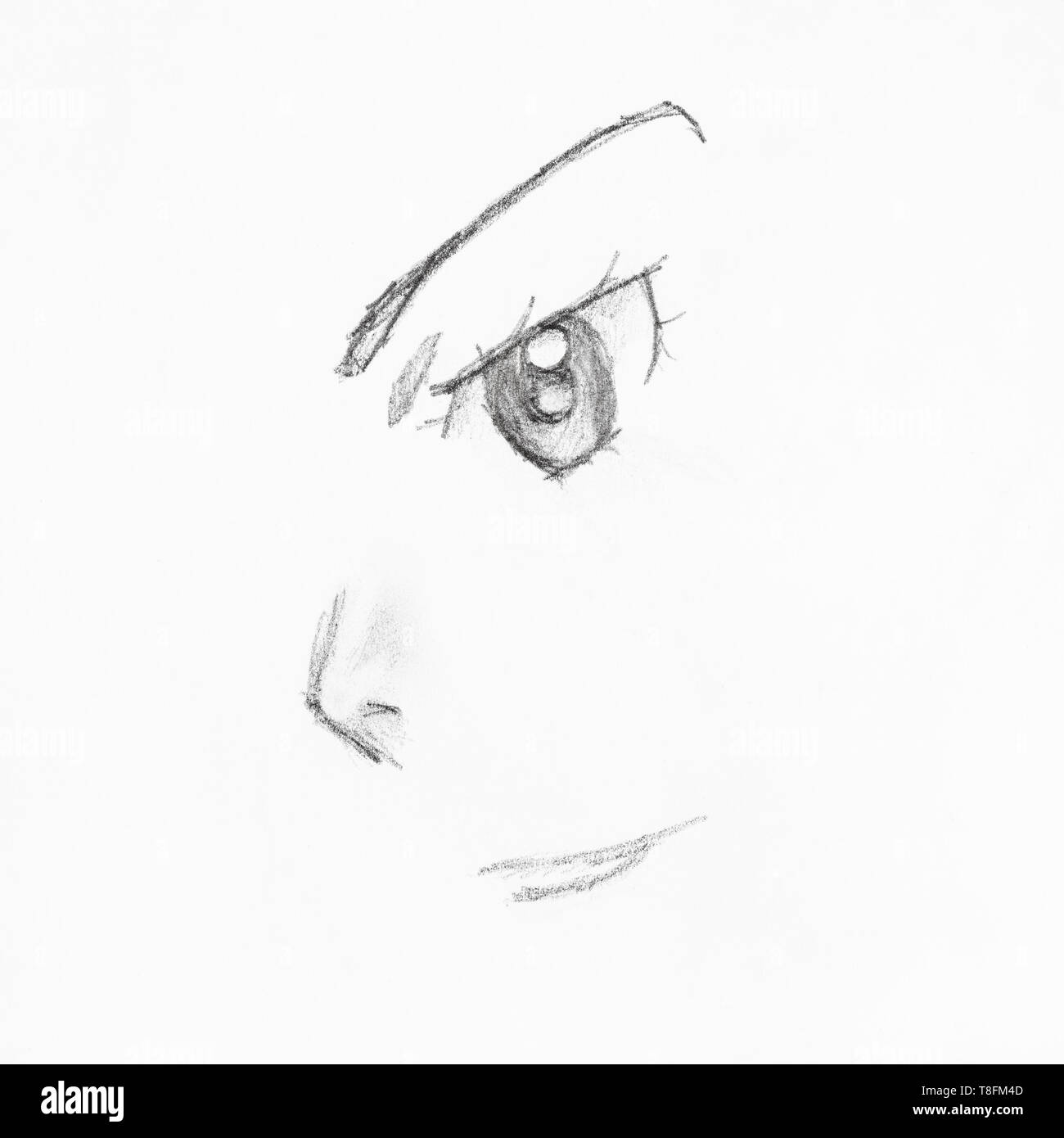 Detalle de anime femenino rostro con ojos y nariz dibujados a mano en Lápiz negro sobre papel blanco Fotografía de stock - Alamy Detalle de anime femenino rostro con ojos y nariz dibujados a mano en Lápiz negro sobre papel blanco Fotografía de stock - Alamy