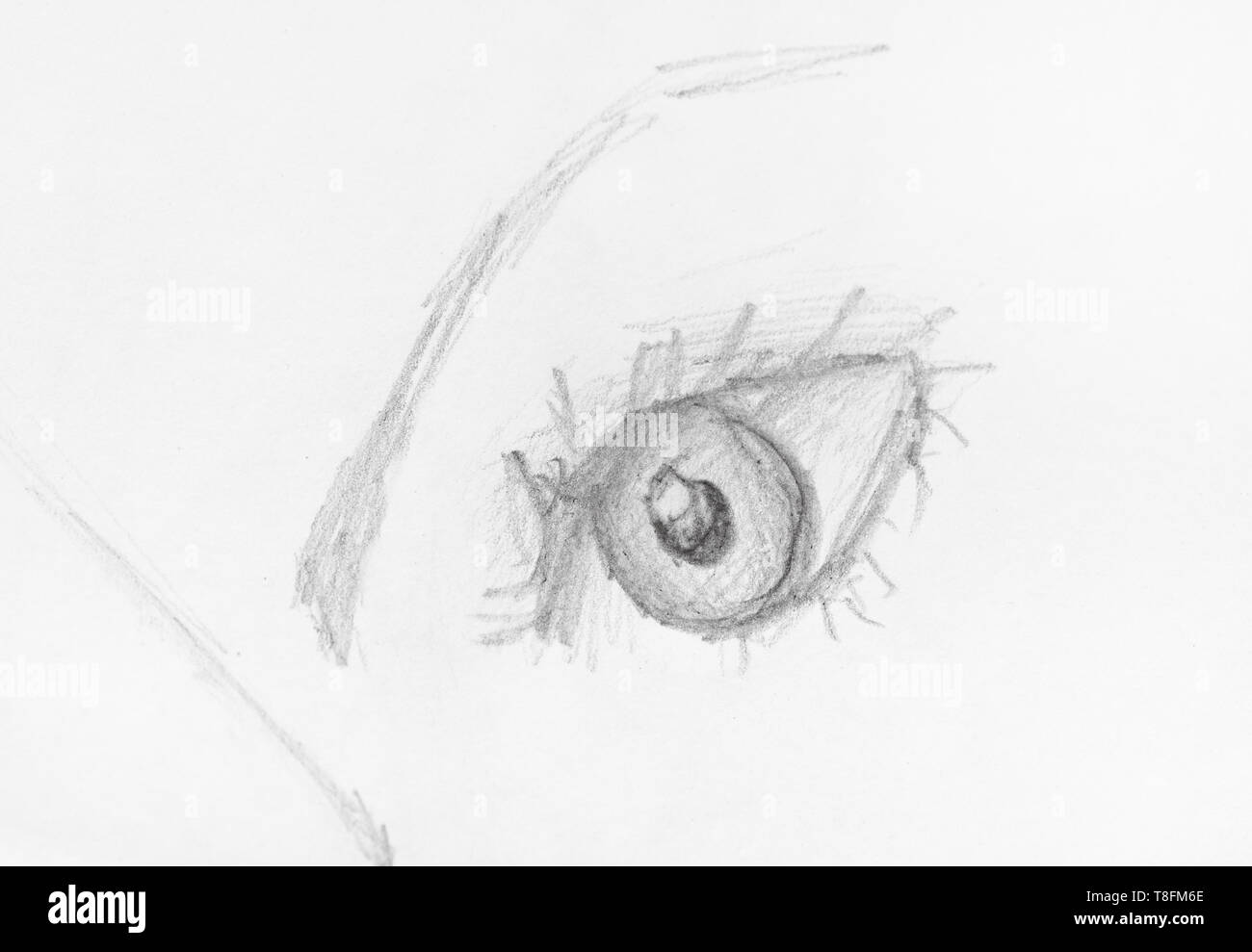 Croquis del ojo humano con las cejas dibujadas a mano en lápiz sobre papel  blanco Fotografía de stock - Alamy