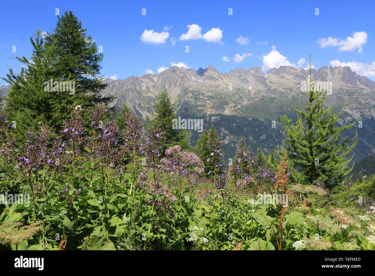 Vue sur le grand balcon Nord. Montenvers. Chamonix Mont-Blanc. Foto de stock
