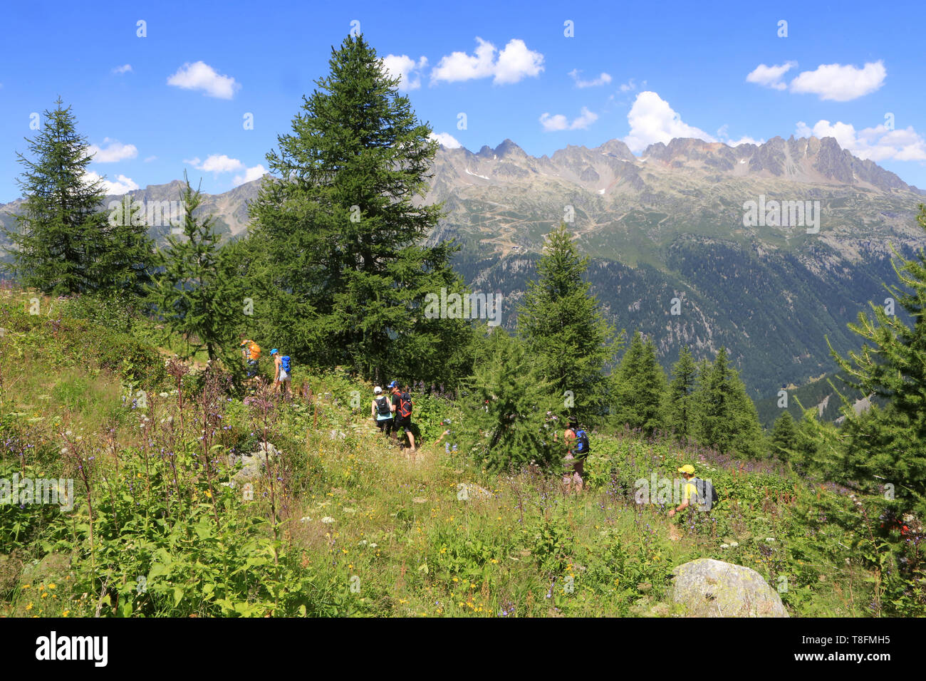 Randonnée. Vue sur le grand balcon Nord. Montenvers. Chamonix Mont-Blanc. Foto de stock