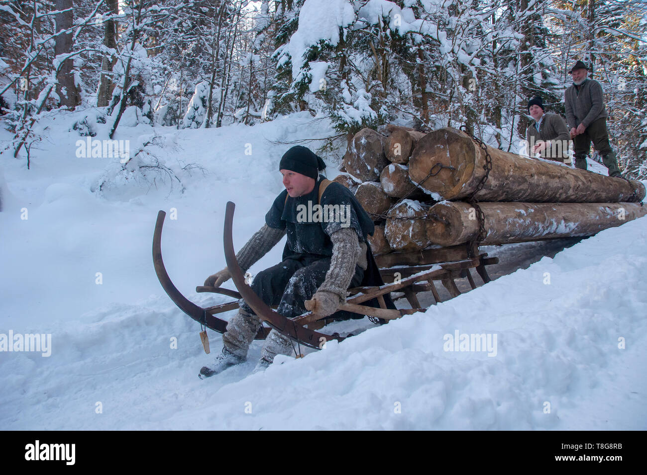 Transportar madera bajan de las montañas en forma tradicional, con la ayuda de un cuerno de invierno trineo Foto de stock