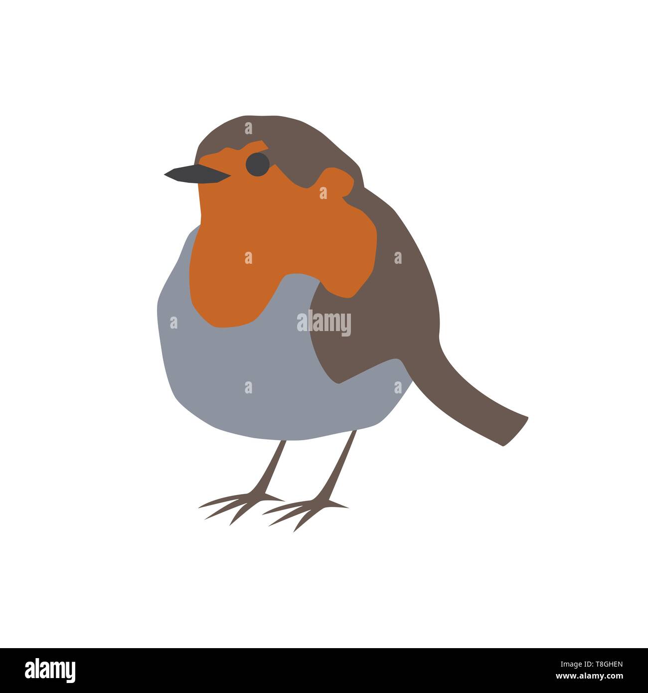 Robin pájaro retrato vectorial Ilustración del Vector