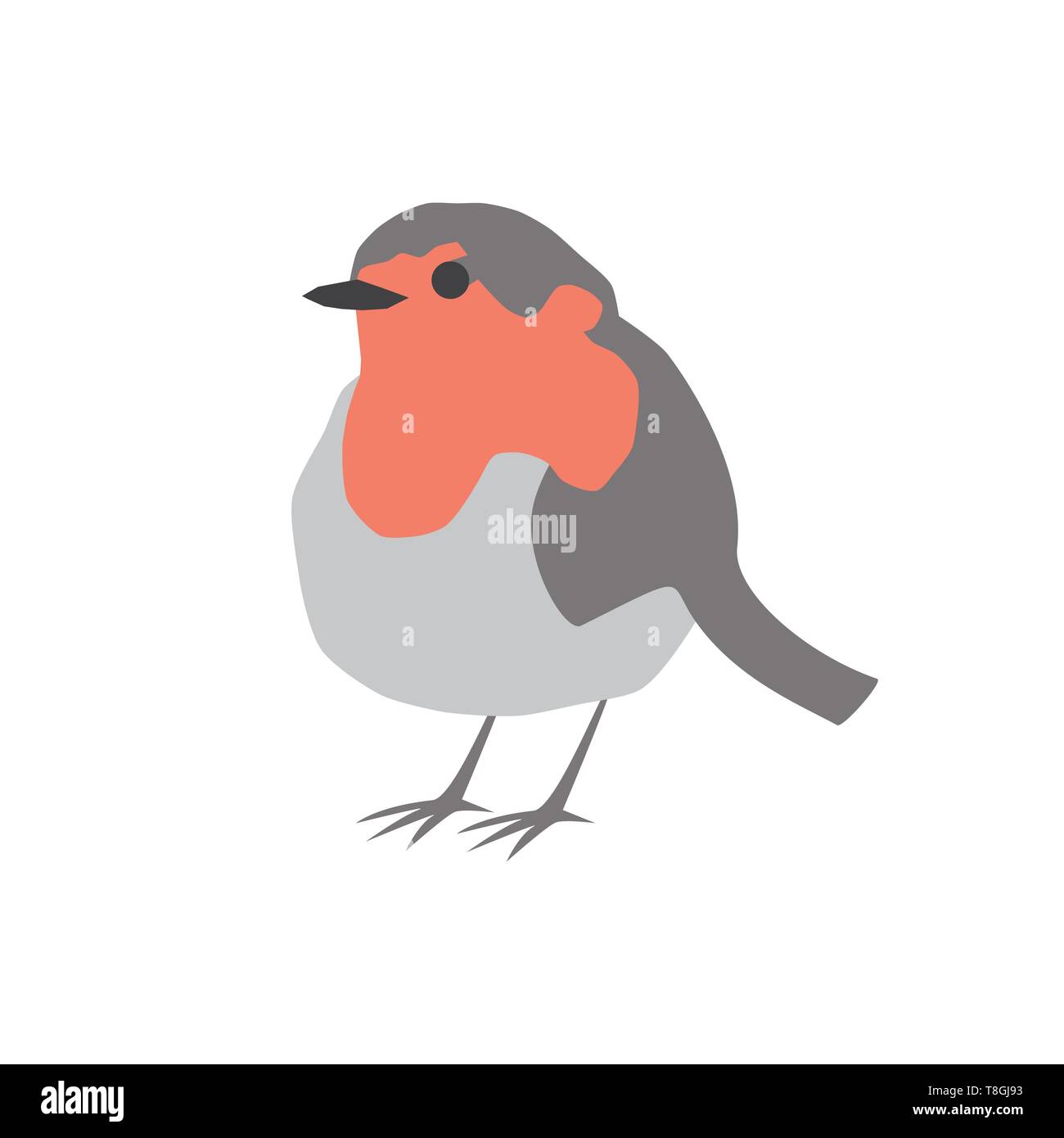 Robin pájaro retrato vectorial fondo blanco. Ilustración del Vector