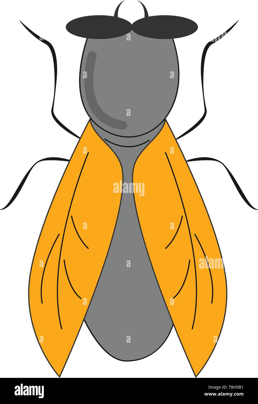 Un bettle con alas amarillas largas y delgadas extremidades , el vector, el color de dibujo o ilustración. Ilustración del Vector