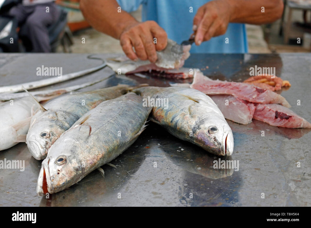 El pescador limpia el pescado fresco que ha capturado en el mar. Los clientes están esperando. Él hábilmente usa un cuchillo afilado. Foto de stock