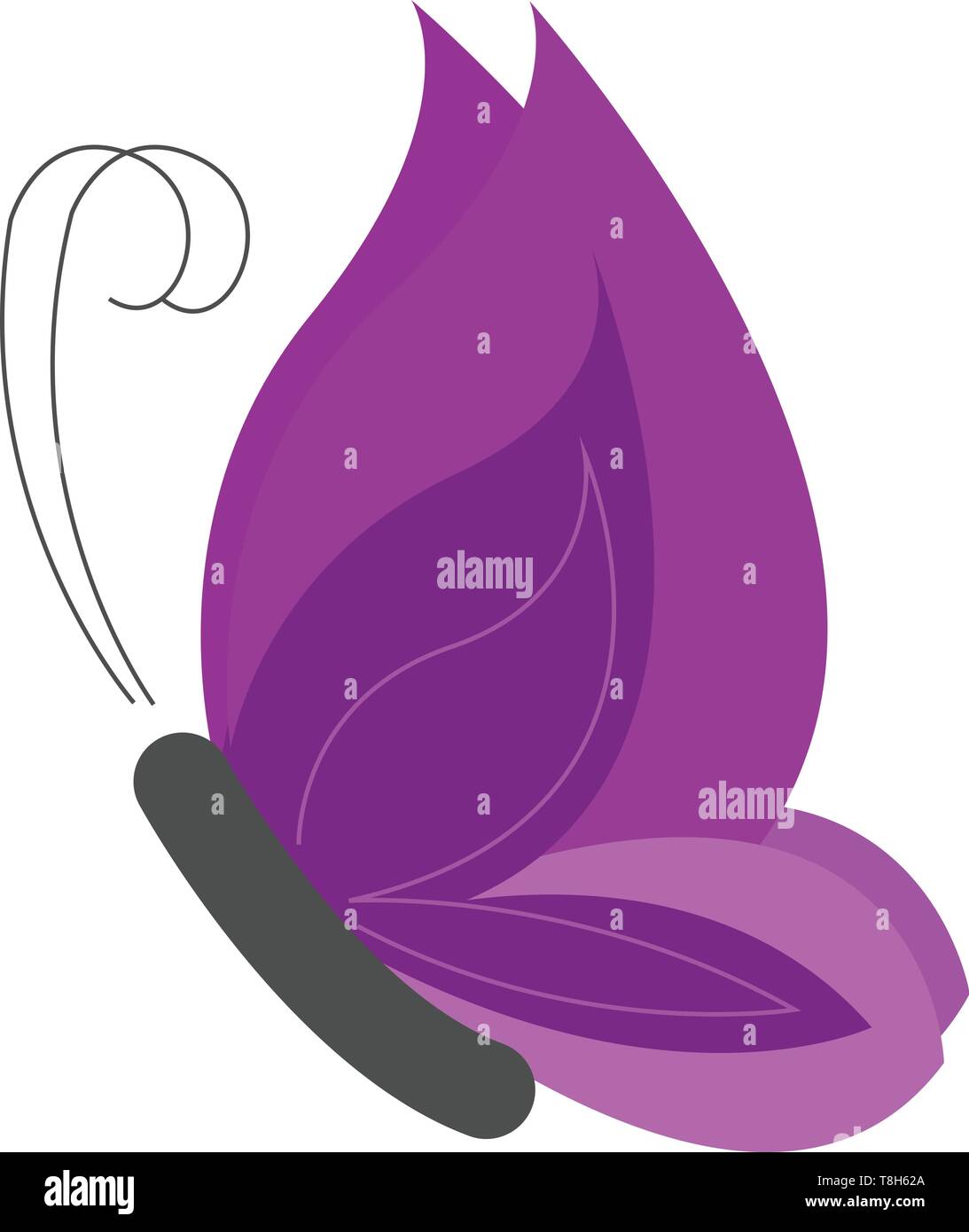 Un lindo color violeta volando mariposas , el vector, el color de dibujo o  ilustración Imagen Vector de stock - Alamy