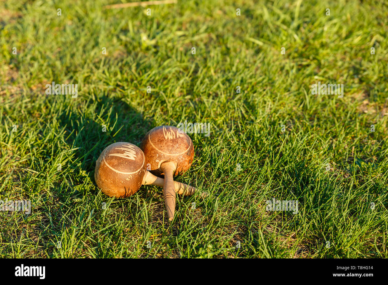 Maracas cubanas yacen sobre la hierba verde. Instrumento musical tradicional hecha de materiales