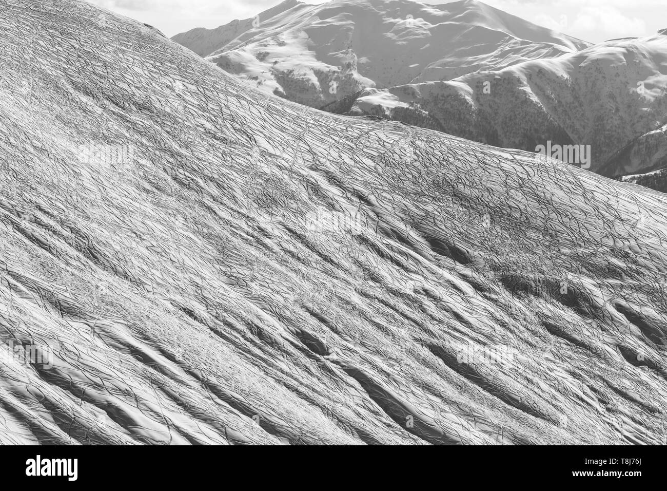 Pendiente para el fuera de pista de freeride con trazas de esquís, snowboards y montañas nevadas en invierno, sol por la tarde. Montañas del Cáucaso, Georgia, la región Gudaur Foto de stock