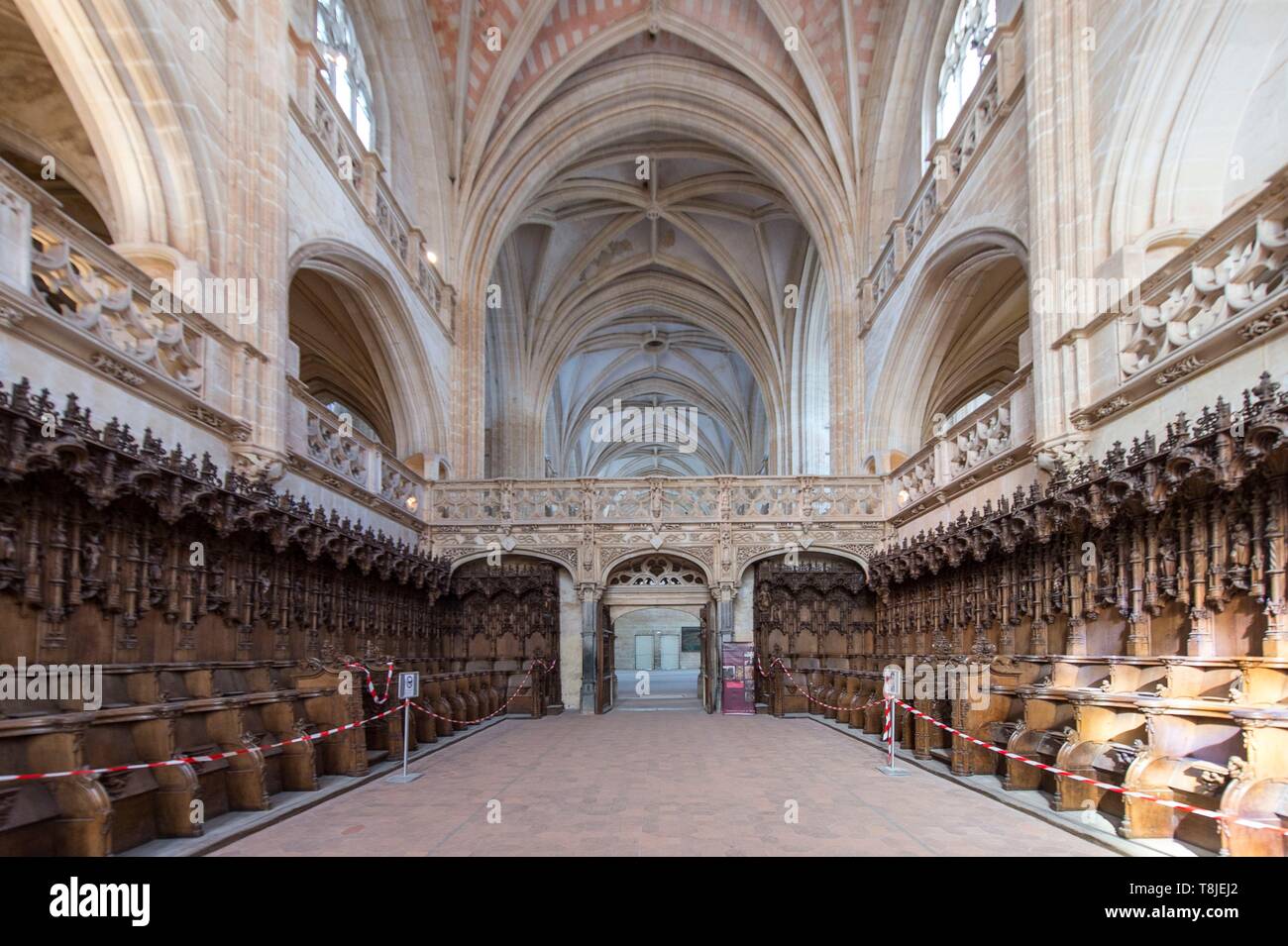 Francia, Ain, Bourg en Bresse, el Real Monasterio de Brou restaurada en  2018, la iglesia de San Nicolás de Tolentino, obra maestra del gótico  flamígero, en el coro de roble se cala